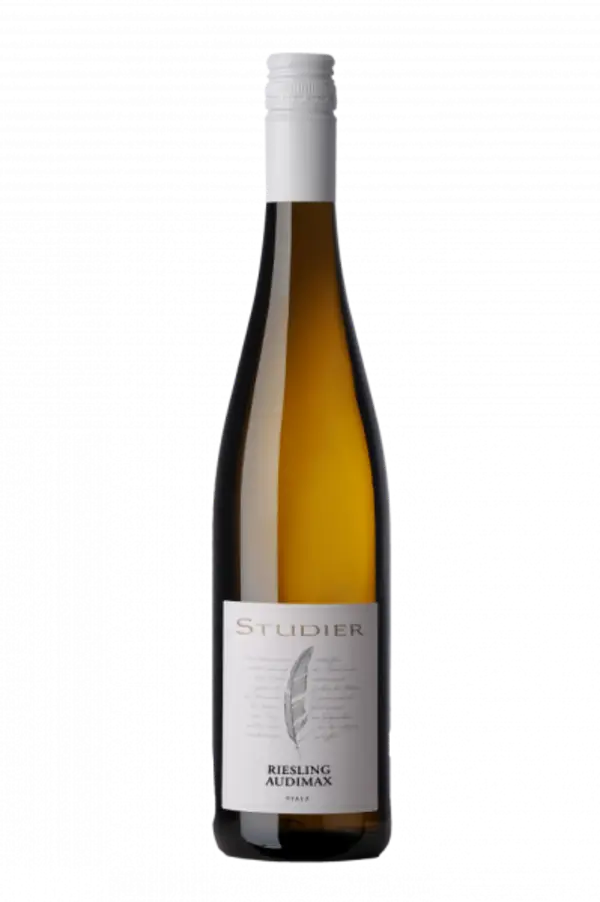 Weingut Studier Riesling vom Lehm 2023 feinherb